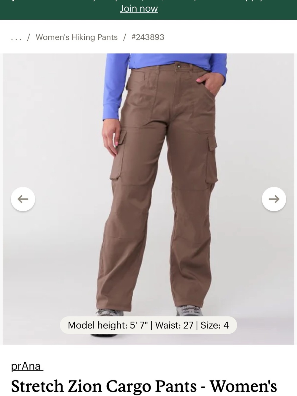 Prana Cargo Pants in Brown